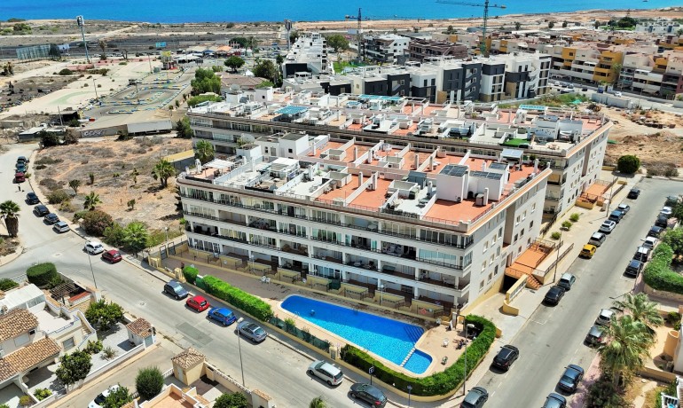 Appartement / Flat - Herverkoop - Playa Flamenca -
                Playa Flamenca