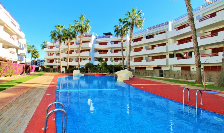 Appartement / Flat - Herverkoop - Playa Flamenca -
                Playa Flamenca