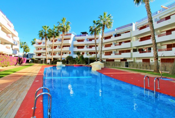 Appartement / Flat - Herverkoop - Playa Flamenca - Playa Flamenca