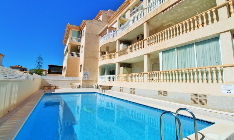 Appartement / Flat - Herverkoop - Playa Flamenca -
                Playa Flamenca