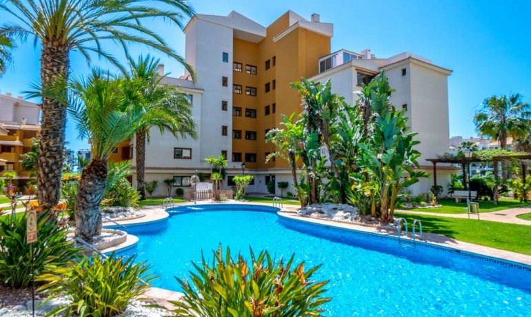 Appartement / Flat - Herverkoop - Punta Prima* -
                Punta Prima