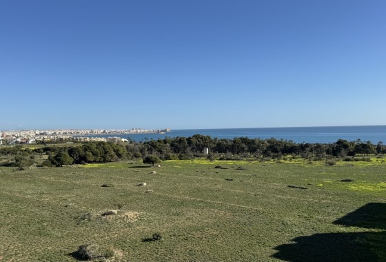 Appartement / Flat - Herverkoop - Punta Prima* - Punta Prima