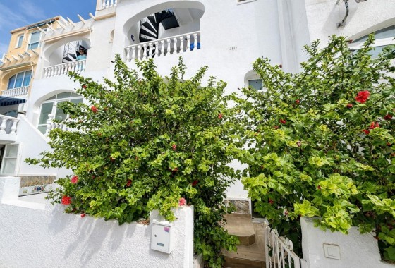 Appartement / Flat - Herverkoop - San Miguel de Salinas* - Las filipinas