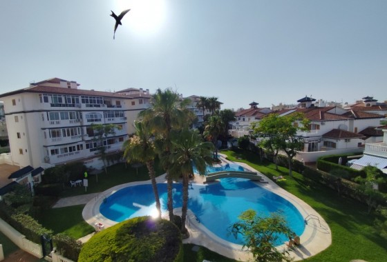 Appartement / Flat - Herverkoop - Torrevieja* - Torrevieja