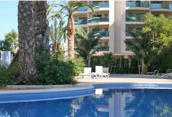 Appartement / Flat - Nieuwbouw - Calpe* - La Calalga