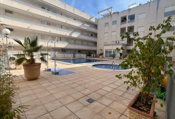 Appartement / Flat - Revente - Almoradi - Almoradi