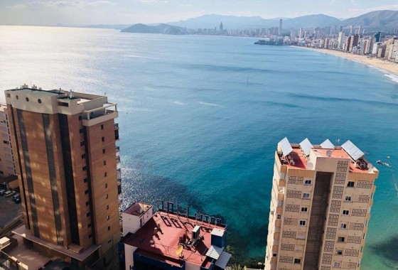 Appartement / Flat - Revente - Benidorm* - Benidorm*