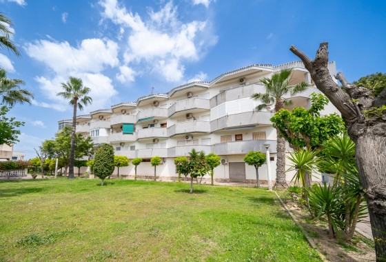 Appartement / Flat - Revente - Orihuela Costa* - Cabo Roig