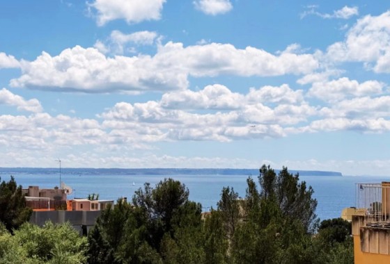 Appartement / Flat - Revente - Palma - Sant Agustí