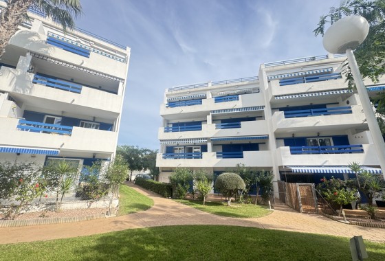 Appartement / Flat - Revente - Playa Flamenca - Playa Flamenca
