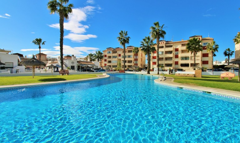 Appartement / Flat - Revente - Playa Flamenca -
                Playa Flamenca