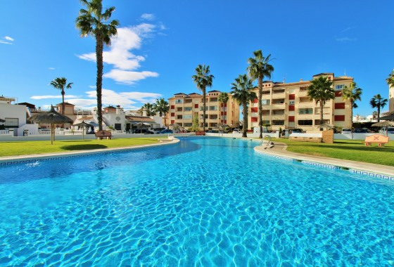 Appartement / Flat - Revente - Playa Flamenca - Playa Flamenca