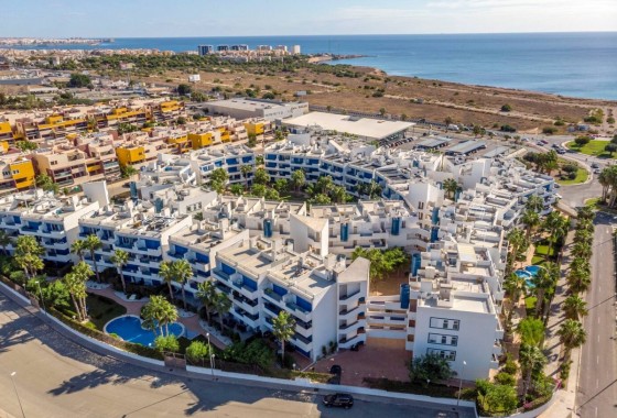 Appartement / Flat - Revente - Playa Flamenca - Playa Flamenca