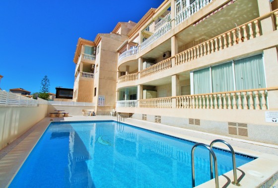 Appartement / Flat - Revente - Playa Flamenca - Playa Flamenca
