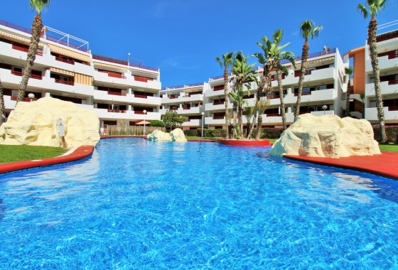 Appartement / Flat - Revente - Playa Flamenca - Playa Flamenca