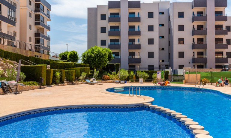 Appartement / Flat - Revente - San Miguel de Salinas* -
                San Miguel De Salinas