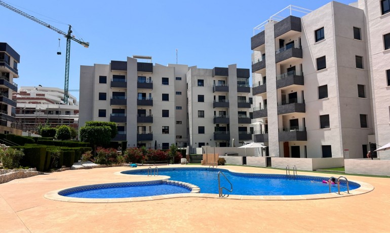 Appartement / Flat - Revente - San Miguel de Salinas* -
                San Miguel Salinas