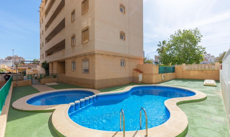 Appartement / Flat - Revente - Torrevieja* -
                Nueva Torrevieja