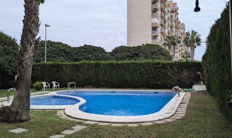 Appartement / Flat - Revente - Torrevieja* -
                Torrevieja