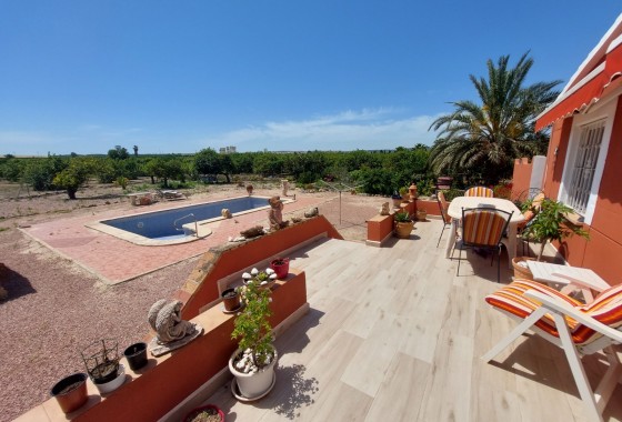 Country Property/Finca - Venta - San Miguel de Salinas - San Miguel De Salinas