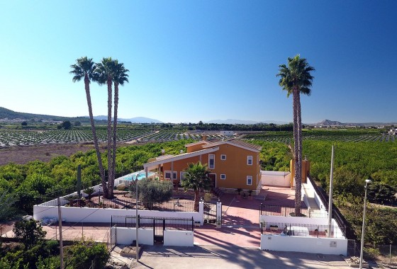 Finca Country Property - Herverkoop - Orihuela* - Orihuela