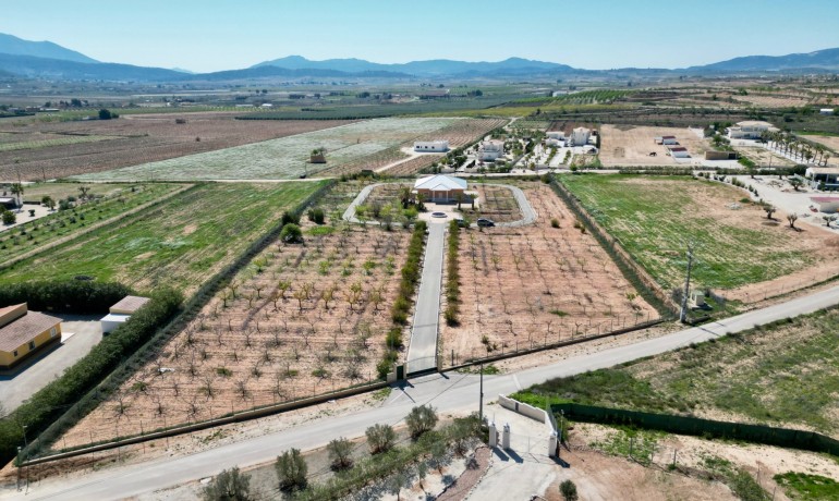 Finca Country Property - Herverkoop - Pinoso* -
                Pinoso