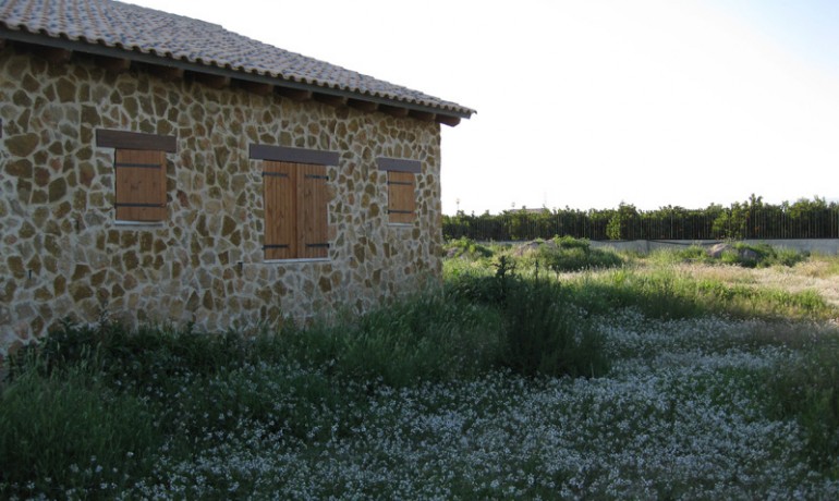 Finca Country Property - Revente - Benferri -
                Benferri