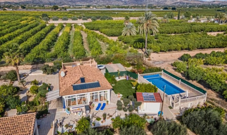 Finca / Country Property - Sale - Albatera -
                Albatera