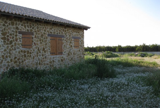 Finca Country Property - Sale - Benferri - Benferri