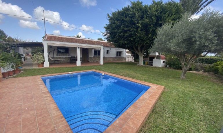 Finca / Country Property - Sale - Benijofar* -
                Benijofar