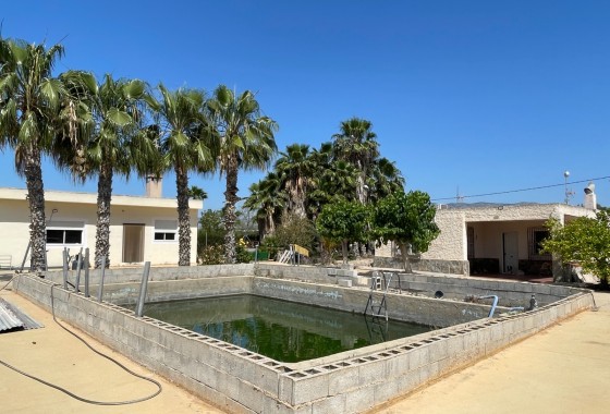 Finca Country Property - Sale - Crevillente - Crevillente