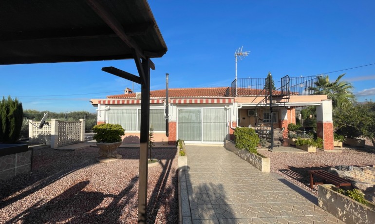 Finca / Country Property - Sale - Crevillente -
                Crevillente