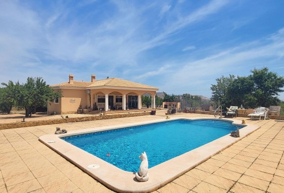 Finca / Country Property - Sale - Hondon - Hondon de Las Nieves