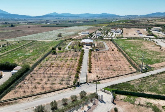 Finca Country Property - Sale - Pinoso* - Pinoso