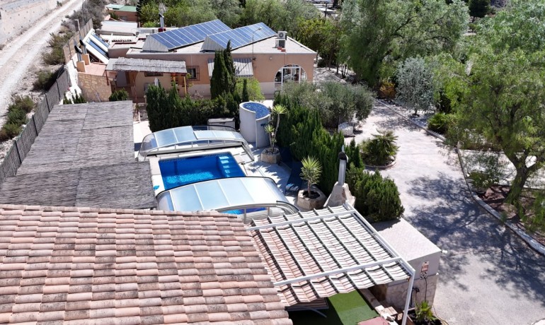 Finca Country Property - Venta - Crevillente -
                Crevillente