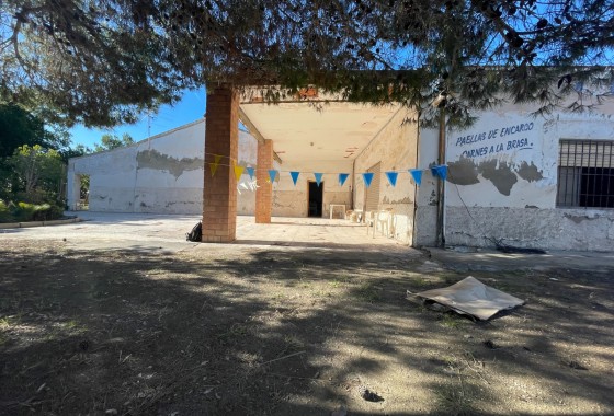 Finca Country Property - Venta - Elche - Elche