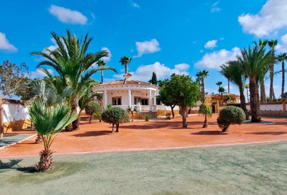 Finca / Landgoed - Herverkoop - Catral* - Catral - Country