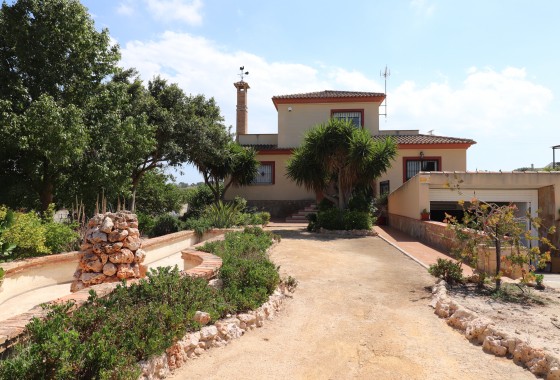 Finca / Propriété de campagne - Revente - Algorfa* - Algorfa*