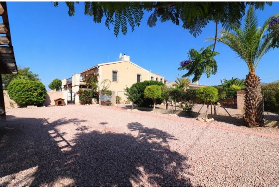 Finca - Venta - Albatera - Albatera - Country