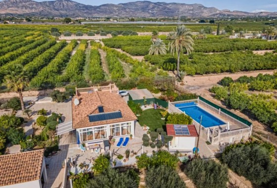 Finca - Venta - Albatera - Albatera