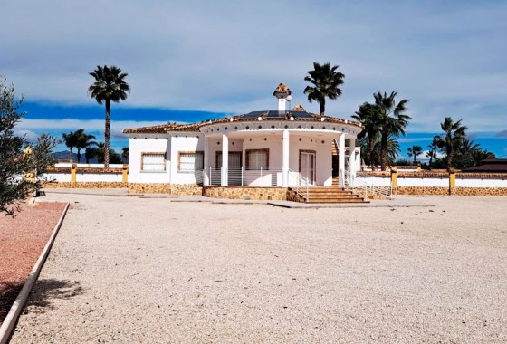 Finca - Venta - Catral* - Catral - Country