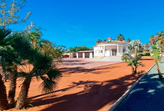 Finca - Venta - Catral - Catral - Country