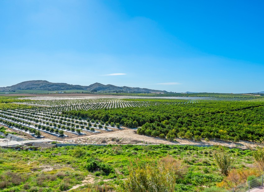 Herverkoop - Appartement / Flat -
Algorfa* - Algorfa