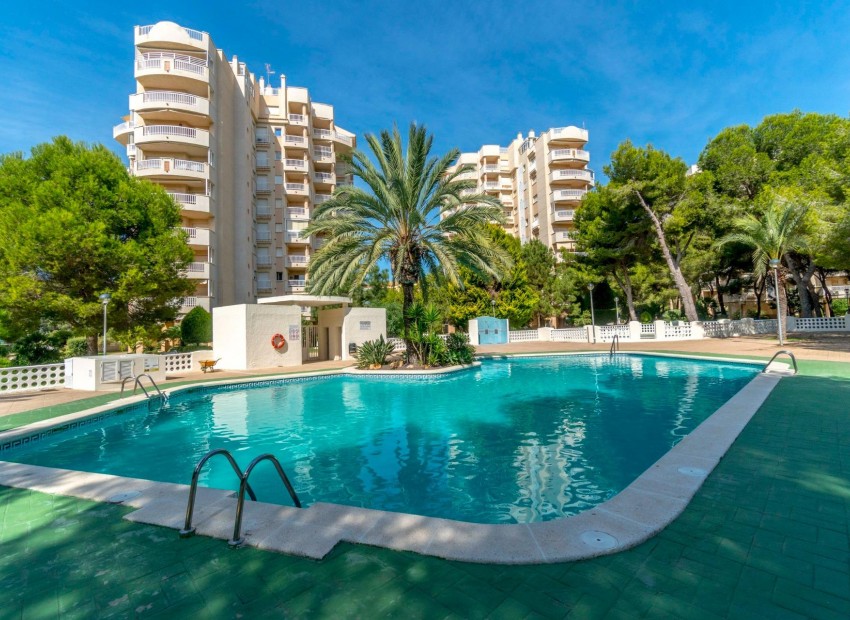 Herverkoop - Appartement / Flat -
Orihuela Costa - Campoamor