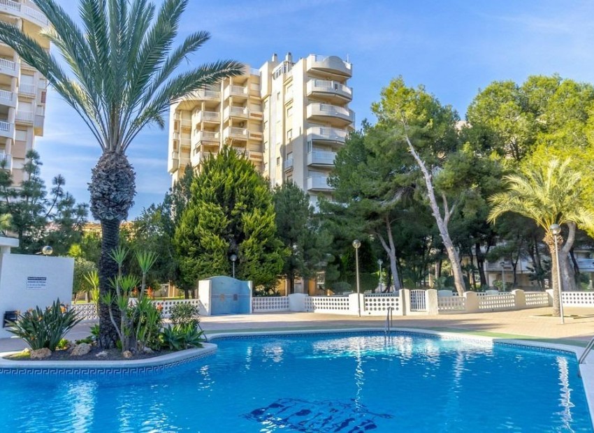 Herverkoop - Appartement / Flat -
Orihuela Costa - Campoamor