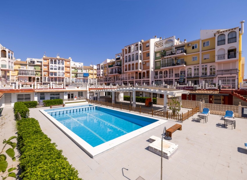 Herverkoop - Appartement / Flat -
Torrevieja* - Mar azul