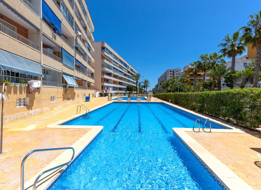 Herverkoop - Appartement / Flat -
Torrevieja - Rocio del Mar