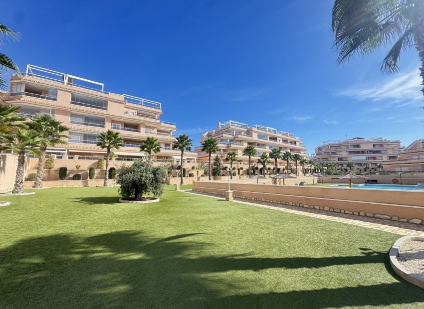 Herverkoop - Appartement / Flat -
Villamartin