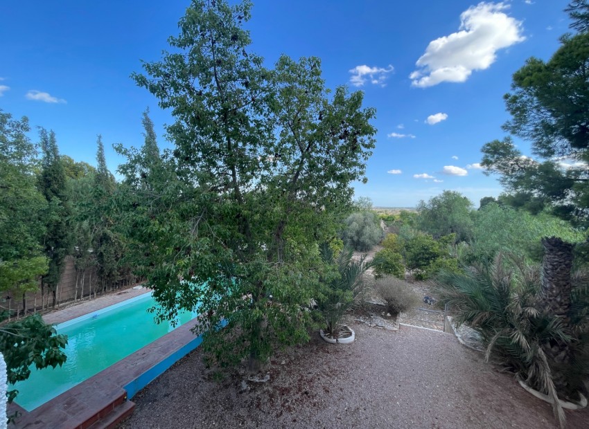 Herverkoop - Finca Country Property -
Albatera