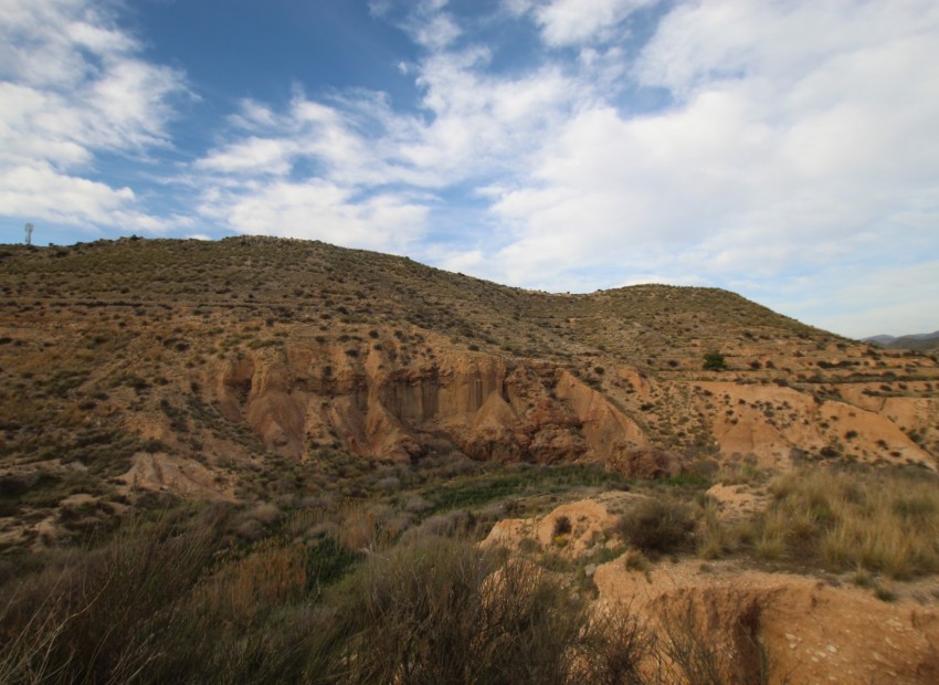 Herverkoop - Finca / Landgoed -
Alicante* - Monovar*